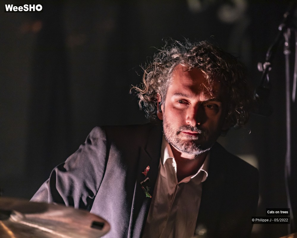 16/33 photos du spectacle Cats on trees