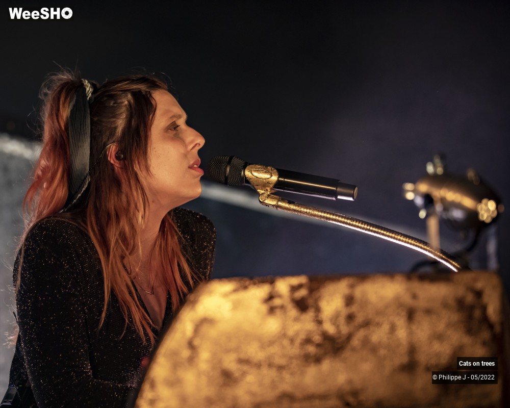 17/33 photos du spectacle Cats on trees