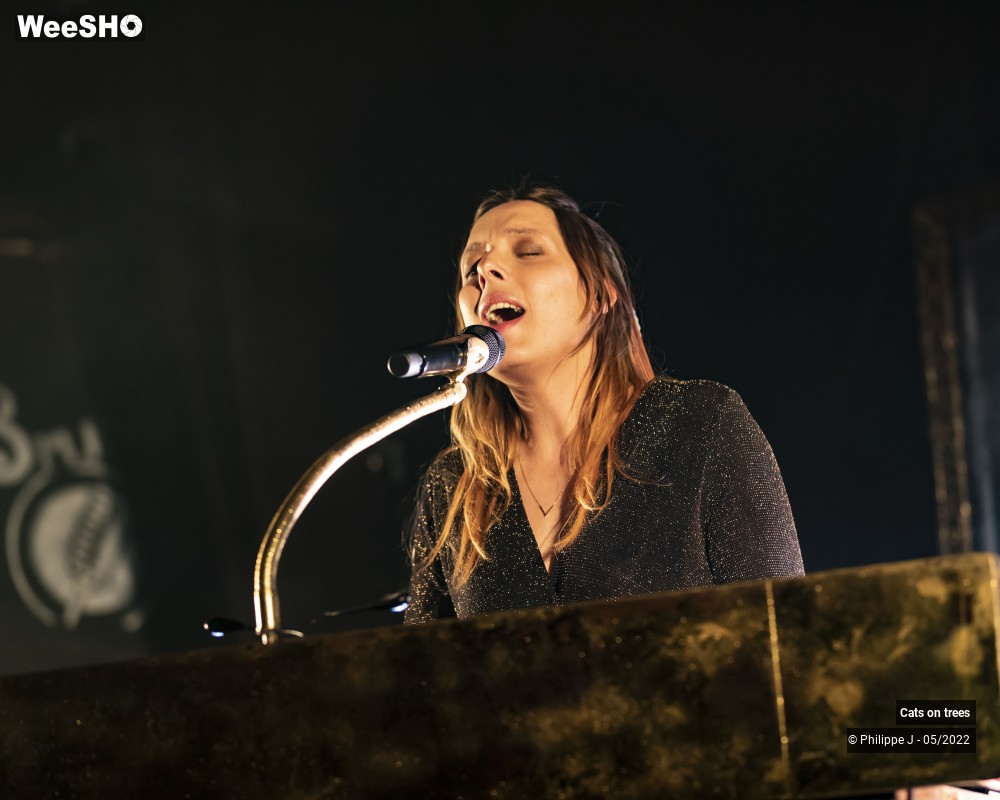 18/33 photos du spectacle Cats on trees