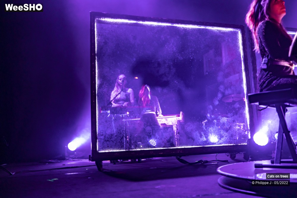 19/33 photos du spectacle Cats on trees