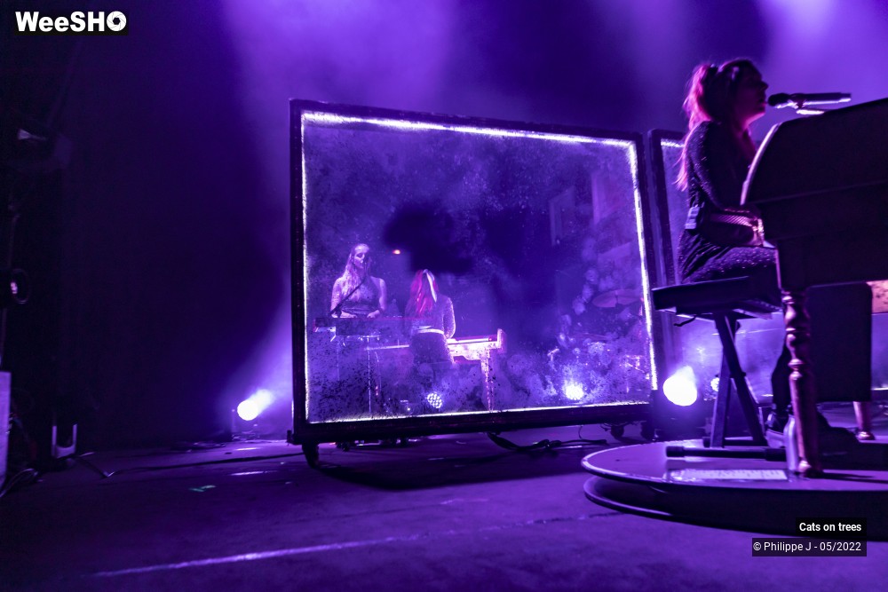 20/33 photos du spectacle Cats on trees