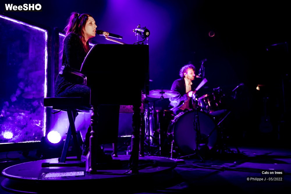 21/33 photos du spectacle Cats on trees