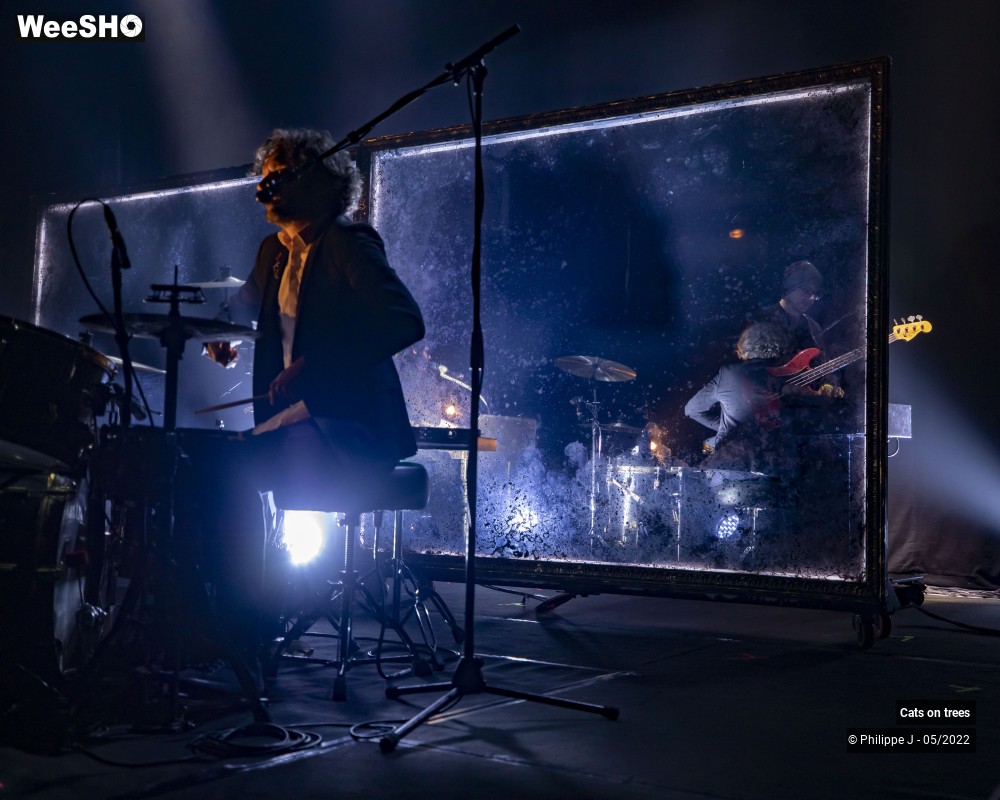 24/33 photos du spectacle Cats on trees