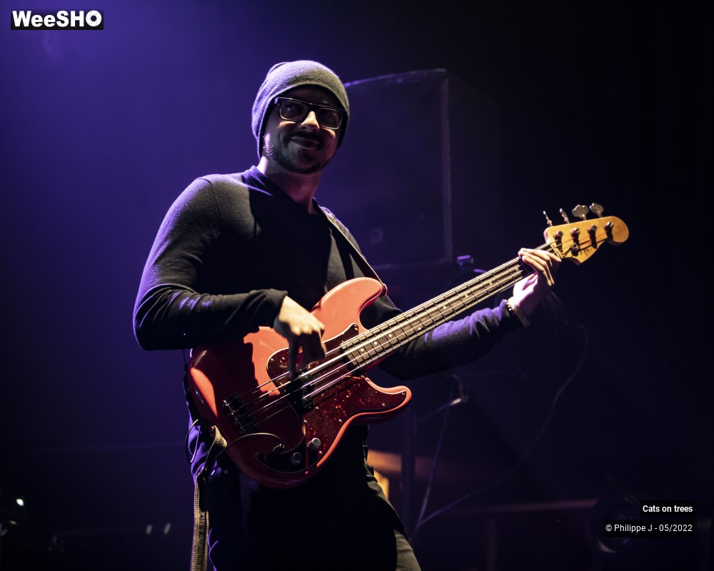 27/33 photos du spectacle Cats on trees