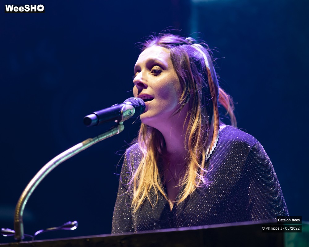 29/33 photos du spectacle Cats on trees