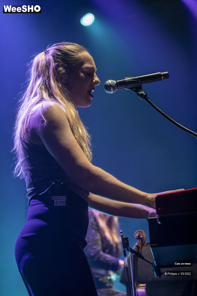 30/33 photos du spectacle Cats on trees