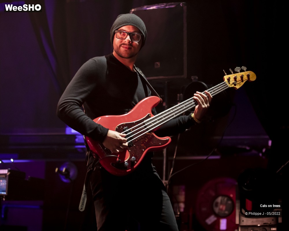 31/33 photos du spectacle Cats on trees