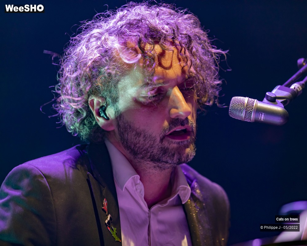 32/33 photos du spectacle Cats on trees