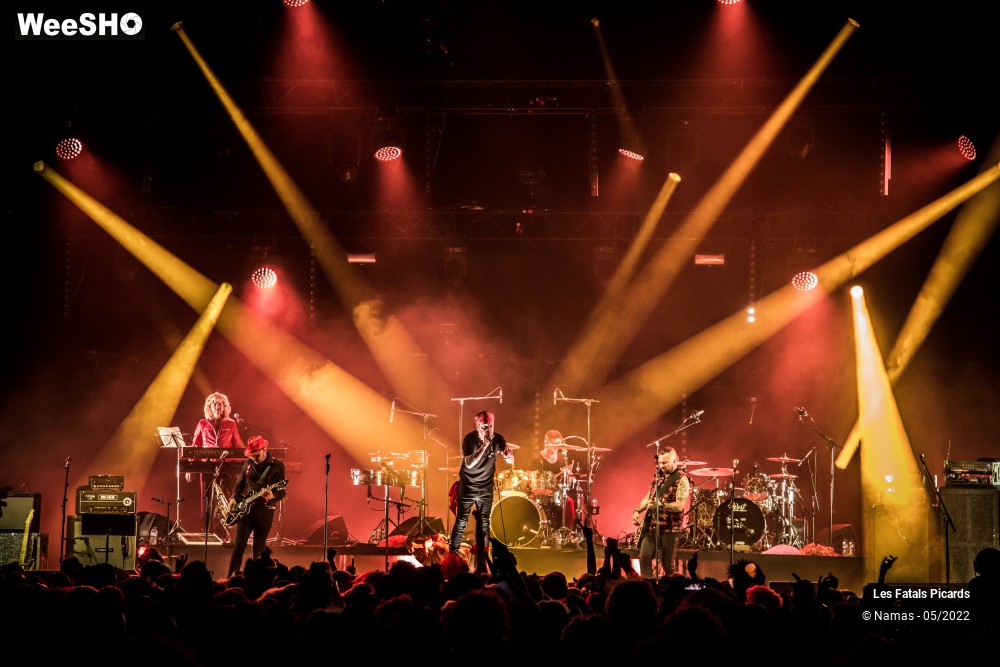 5/100 photos du spectacle Les Fatals Picards - Marcel et son Orchestre - le concert