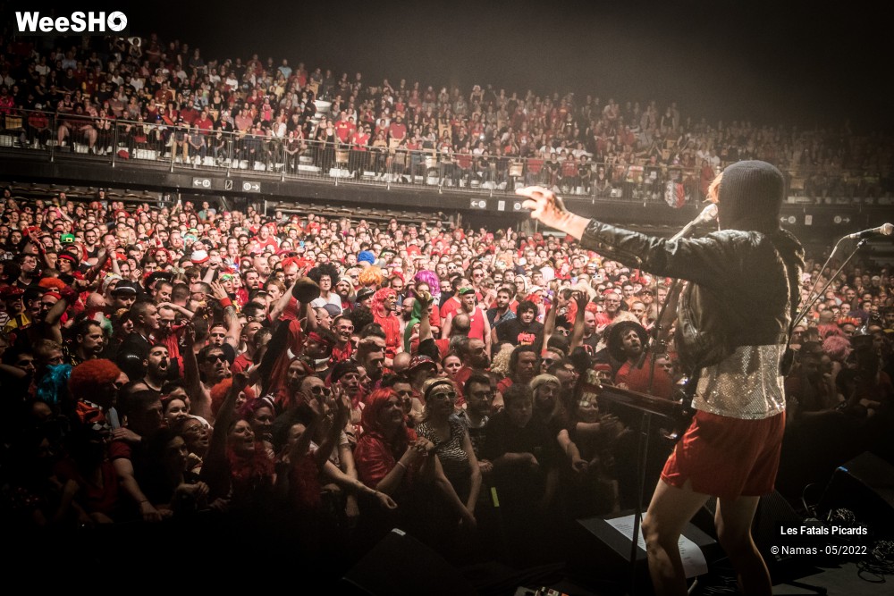 47/100 photos du spectacle Les Fatals Picards - Marcel et son Orchestre - le concert