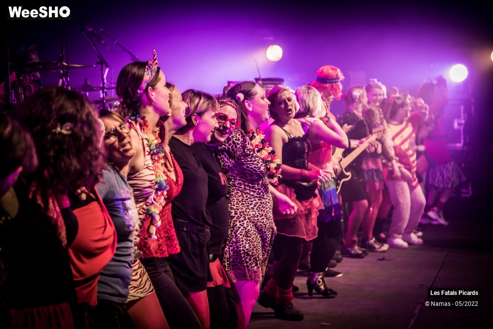 52/100 photos du spectacle Les Fatals Picards - Marcel et son Orchestre - le concert