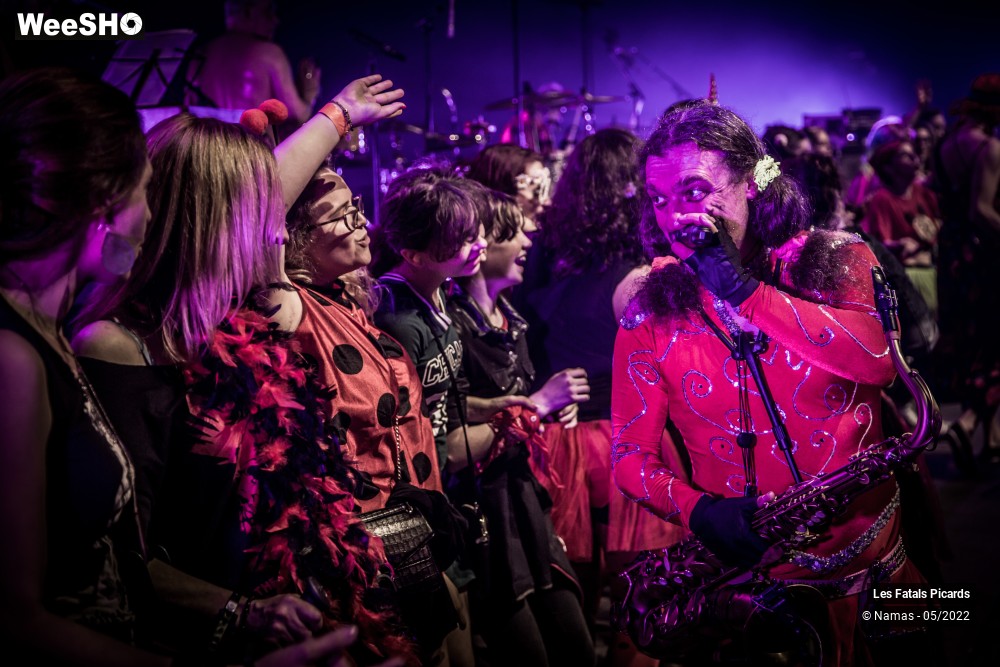 54/100 photos du spectacle Les Fatals Picards - Marcel et son Orchestre - le concert