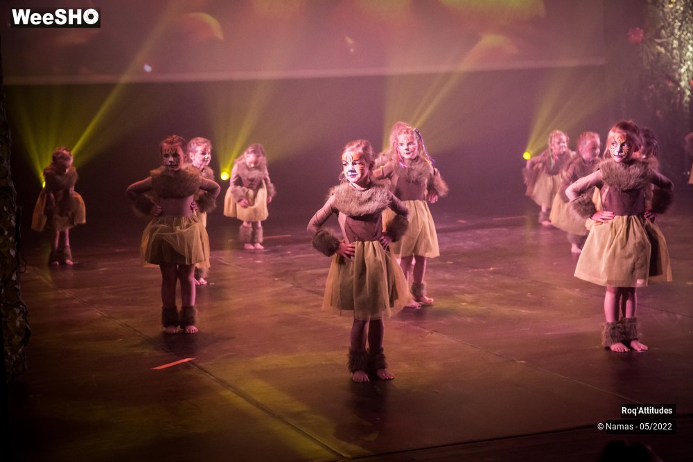 6/100 photos du spectacle Roq'Attitudes 2022 - Les Enfants
