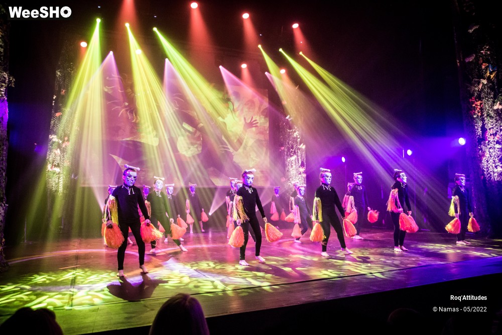 33/100 photos du spectacle Roq'Attitudes 2022 - Les Enfants