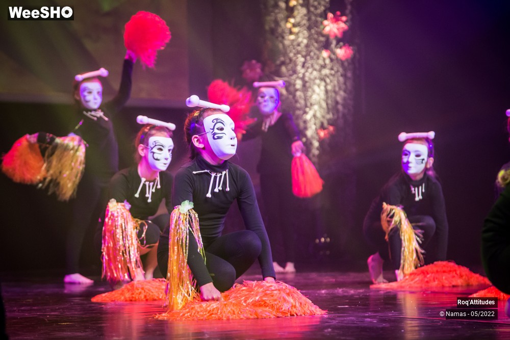42/100 photos du spectacle Roq'Attitudes 2022 - Les Enfants