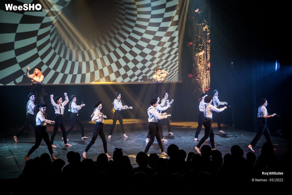 52/100 photos du spectacle Roq'Attitudes 2022 - Les Enfants