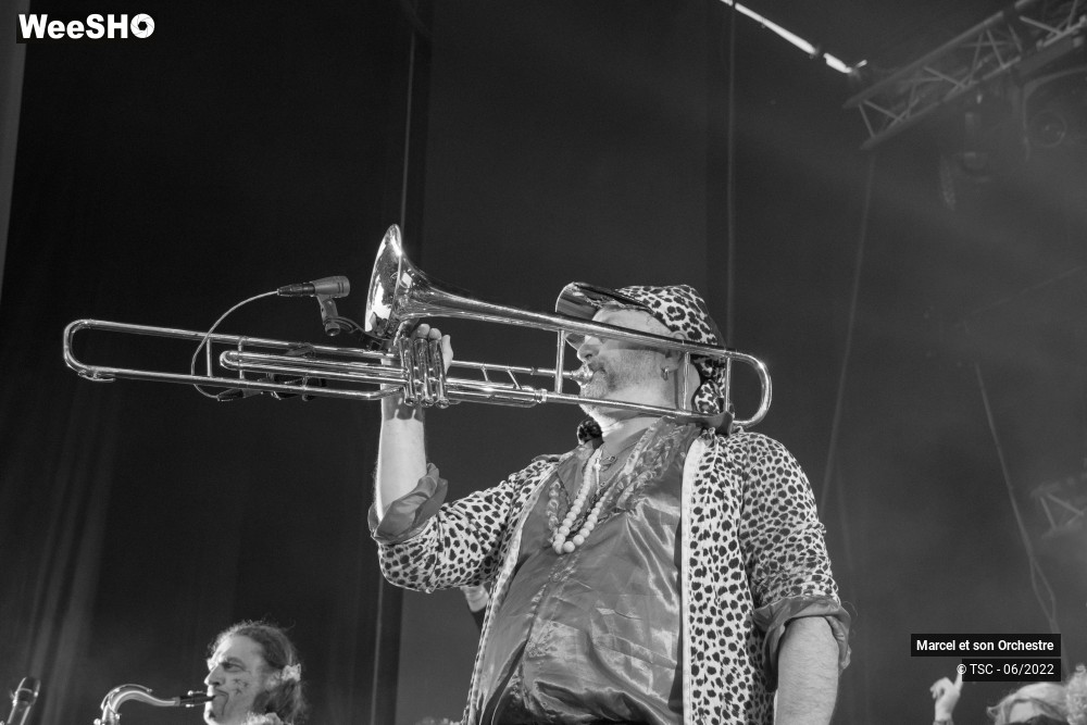 32/45 photos du spectacle Marcel et son Orchestre