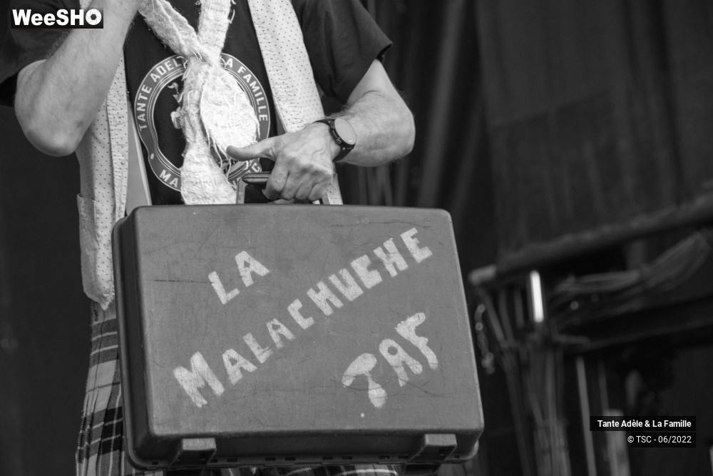 13/23 photos du spectacle Tante Adèle et la famille