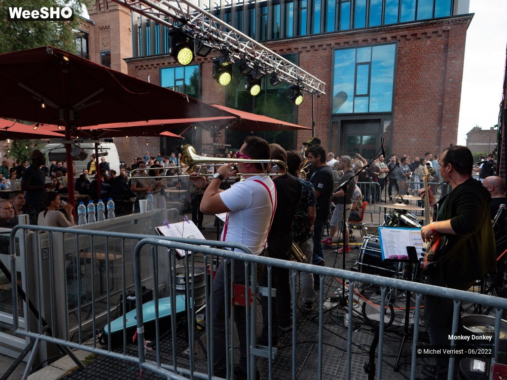 23/100 photos du spectacle Monkey Donkey
