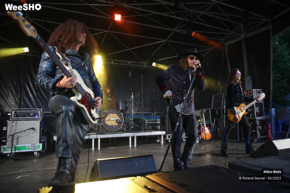 13/15 photos du spectacle DIRTY HONEY