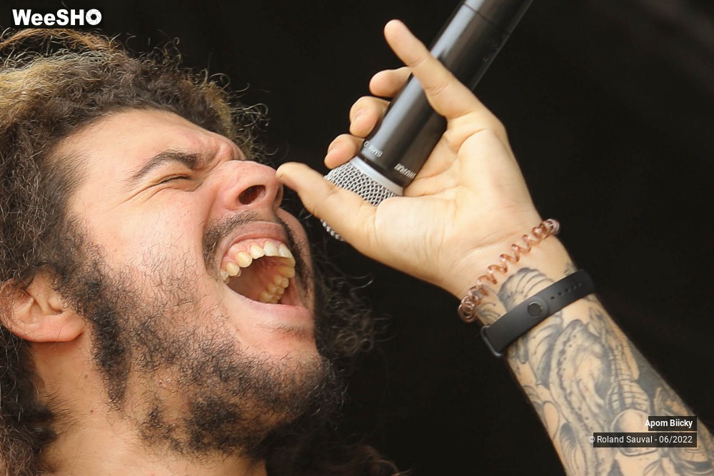 2/20 photos du spectacle Apom Biicky