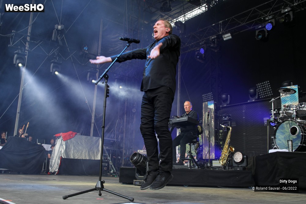 41/43 photos du spectacle Dirty Dogs