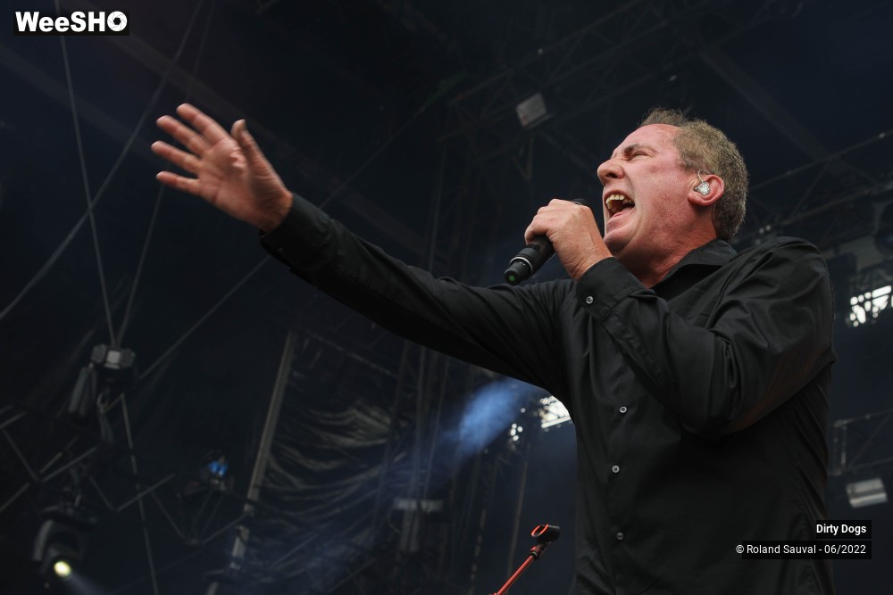 43/43 photos du spectacle Dirty Dogs