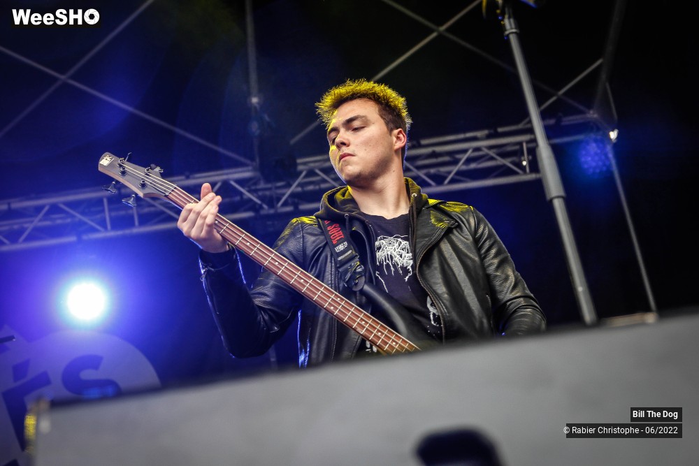 1/52 photos du spectacle Bill the dog