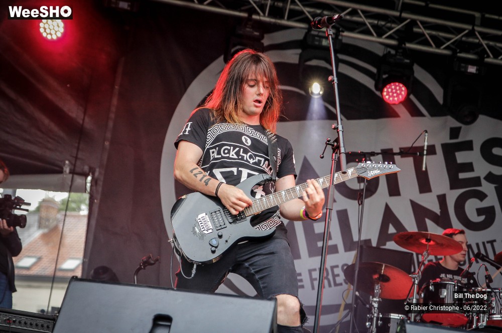 15/52 photos du spectacle Bill the dog