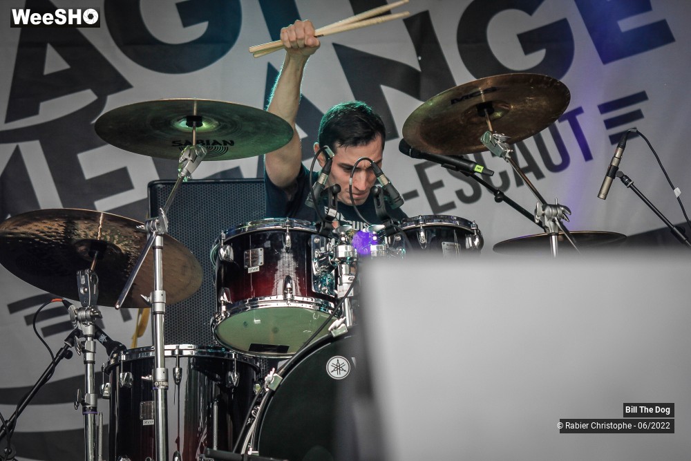 25/52 photos du spectacle Bill the dog