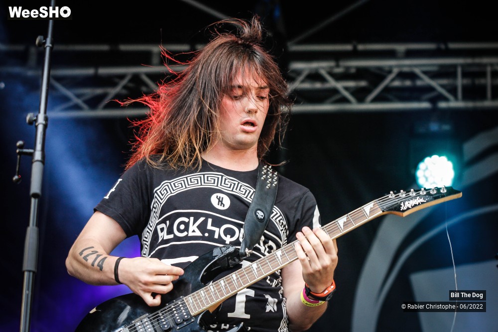 26/52 photos du spectacle Bill the dog