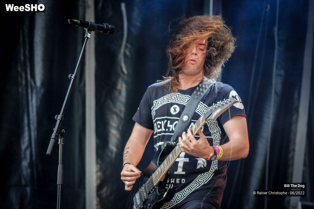 28/52 photos du spectacle Bill the dog