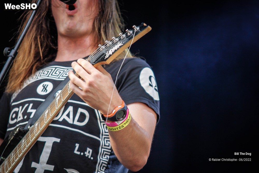 29/52 photos du spectacle Bill the dog