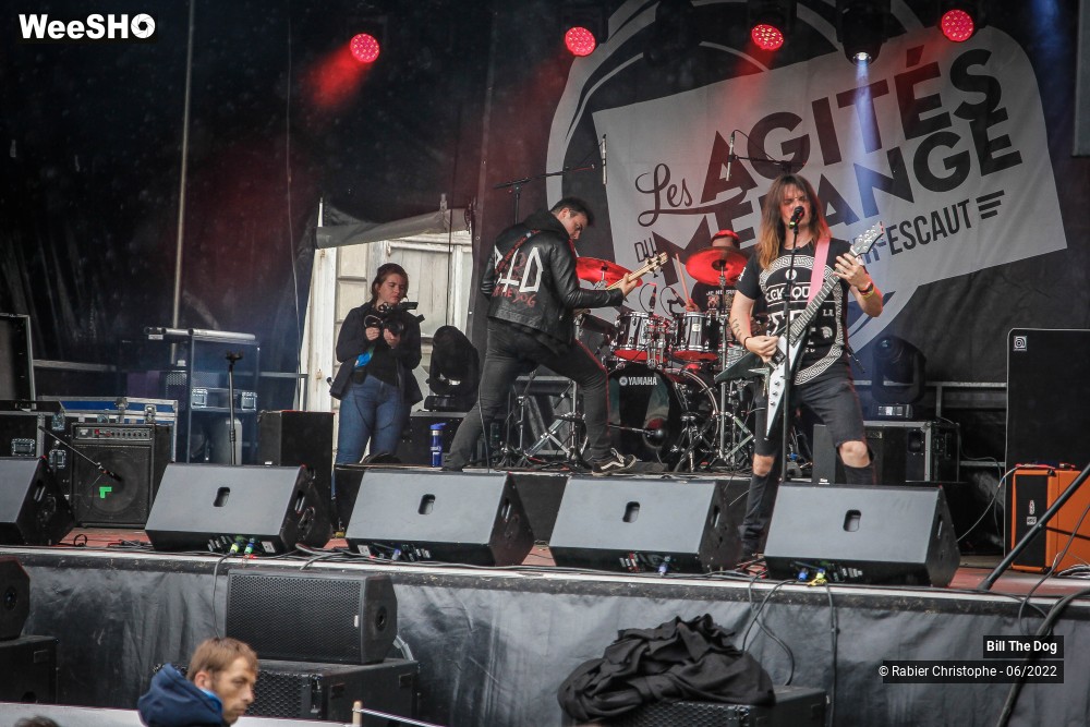 31/52 photos du spectacle Bill the dog