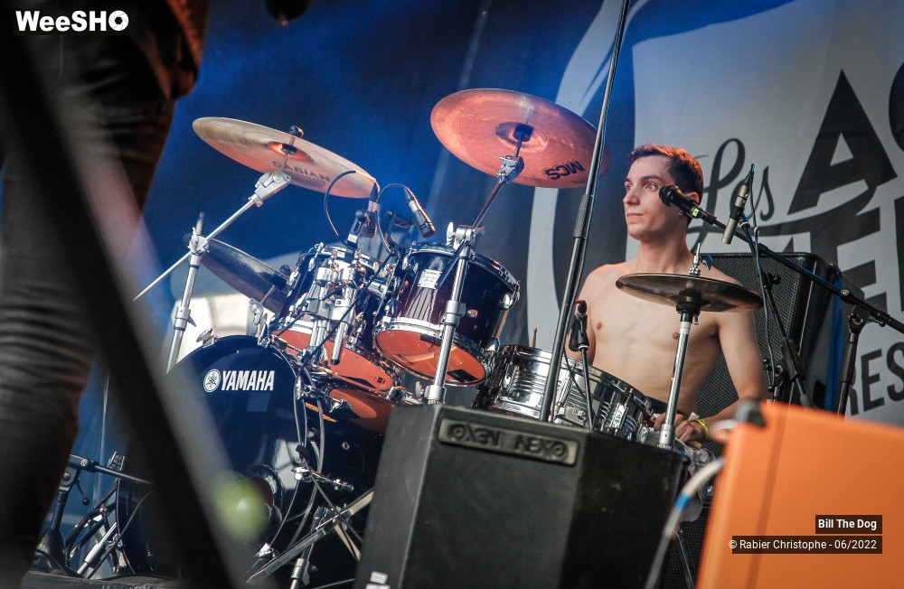 33/52 photos du spectacle Bill the dog