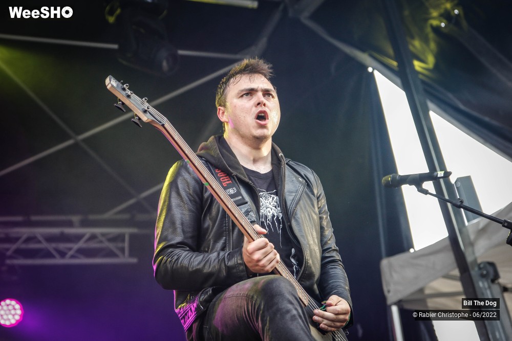 40/52 photos du spectacle Bill the dog