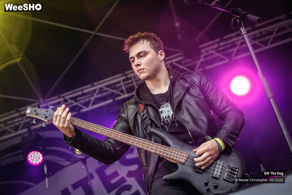 42/52 photos du spectacle Bill the dog