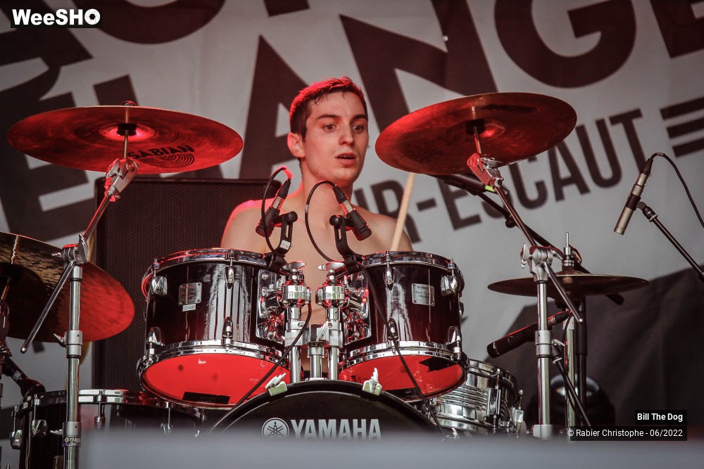 44/52 photos du spectacle Bill the dog