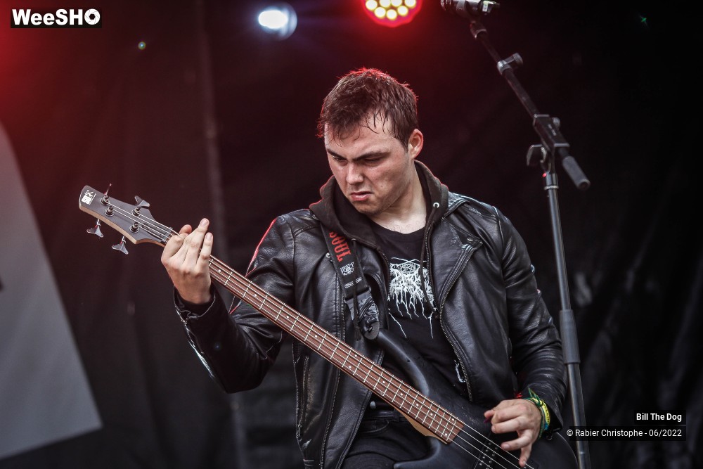 45/52 photos du spectacle Bill the dog