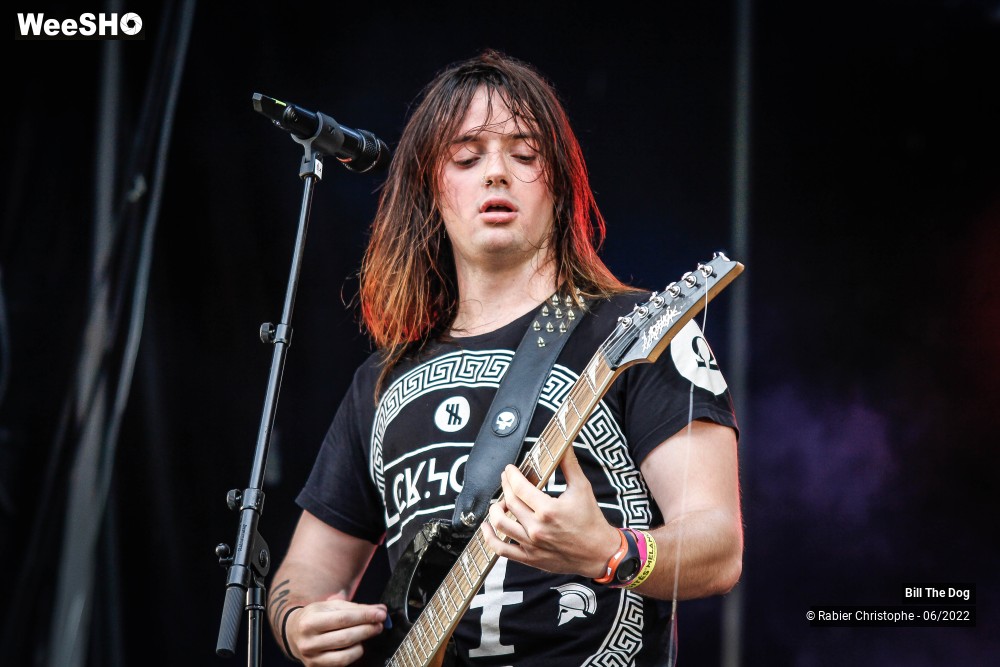 46/52 photos du spectacle Bill the dog