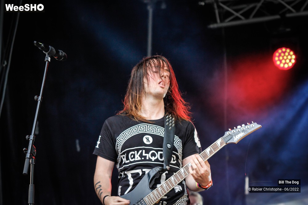 47/52 photos du spectacle Bill the dog