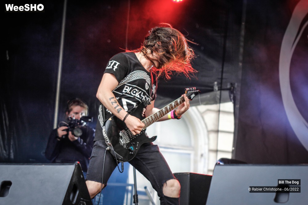 49/52 photos du spectacle Bill the dog