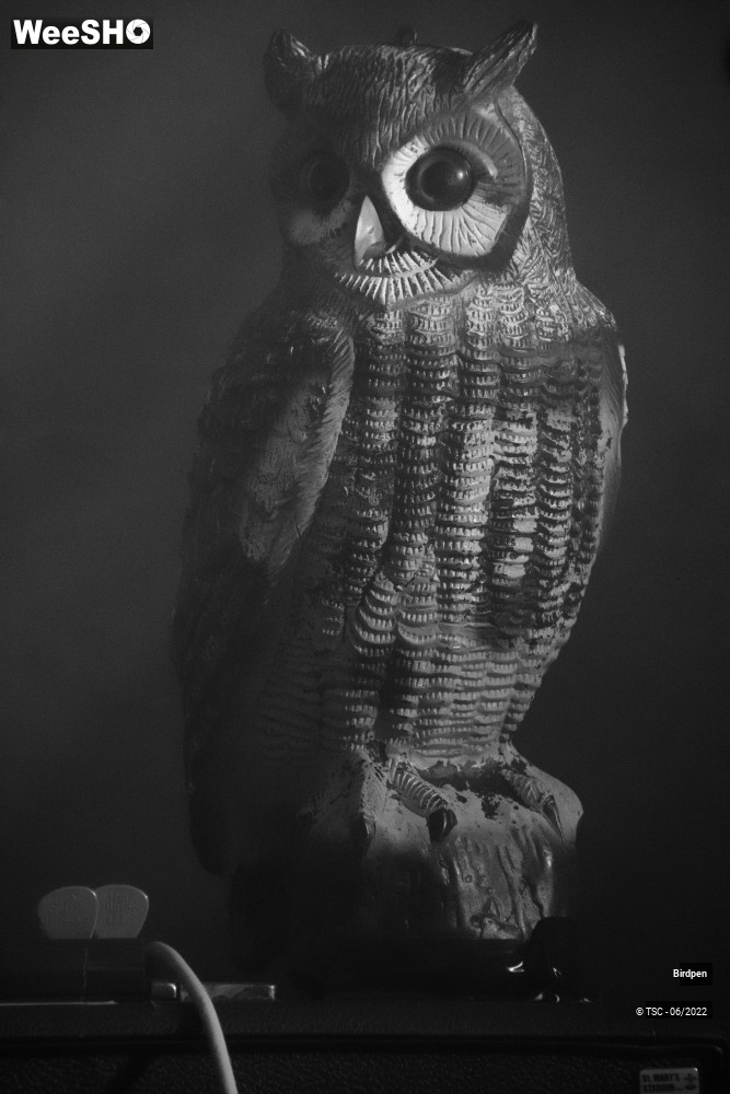 1/15 photos du spectacle Birdpen