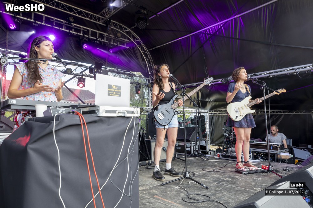 2/17 photos du spectacle La Bête