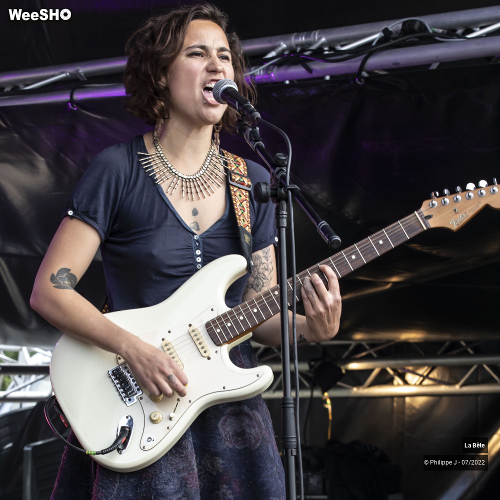 5/17 photos du spectacle La Bête