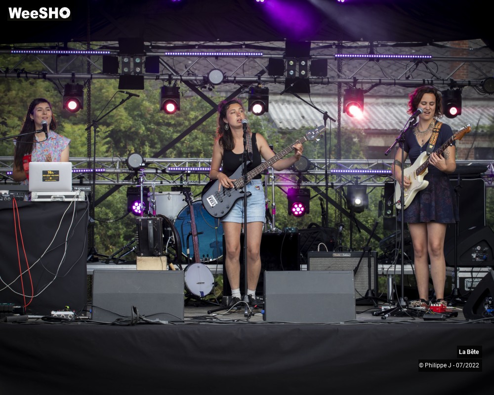 14/17 photos du spectacle La Bête