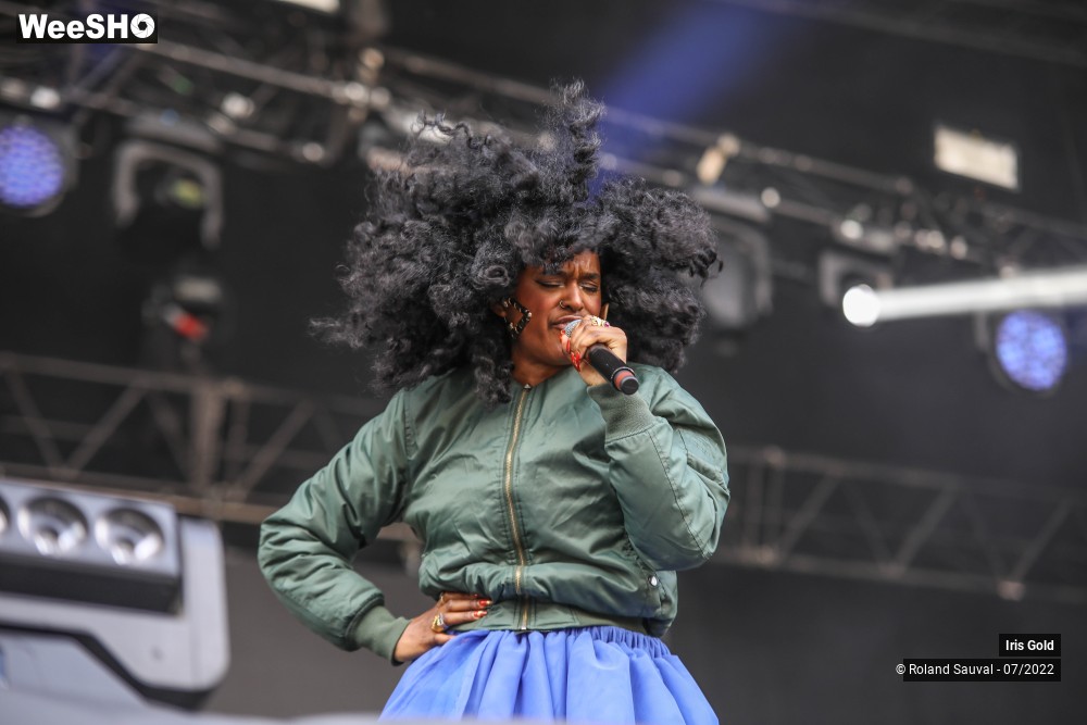 24/26 photos du spectacle Iris Gold