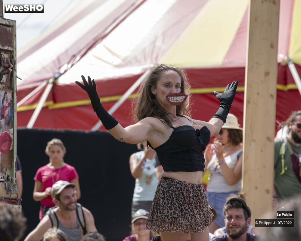 15/53 photos du spectacle Ambiance 3 Paradisiac Field