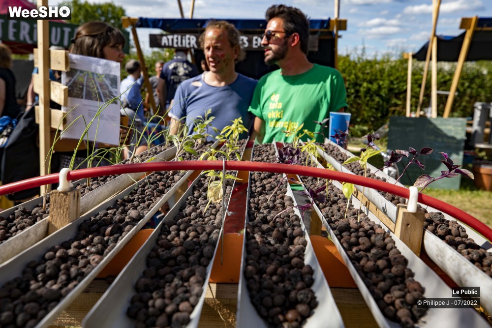 24/53 photos du spectacle Ambiance 3 Paradisiac Field