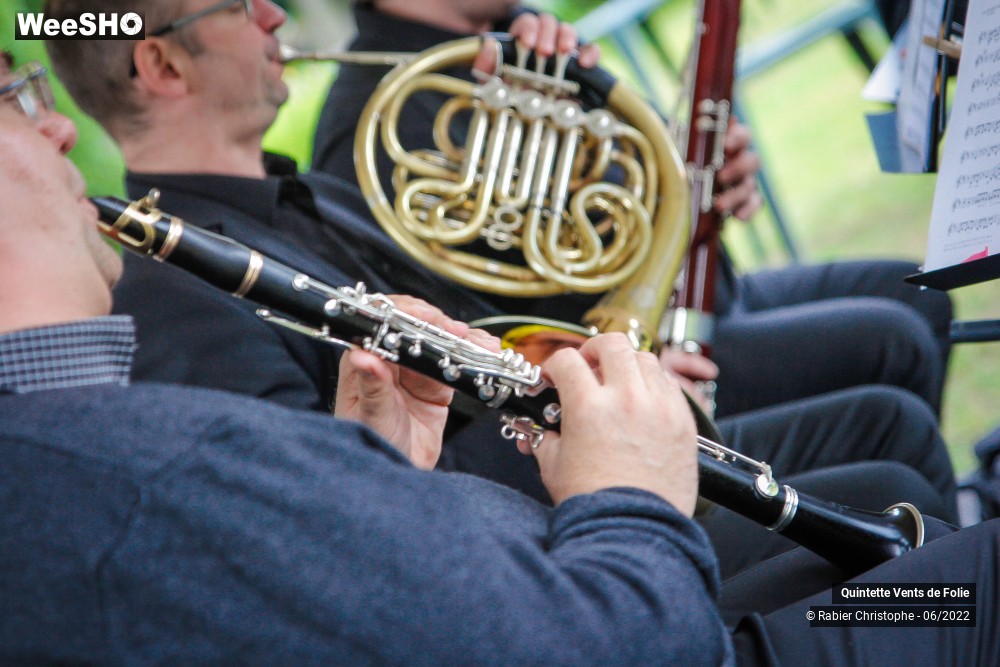 18/19 photos du spectacle Quintette Vents de Folie